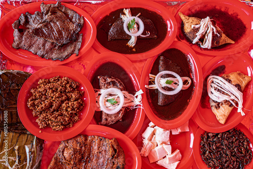 Oaxacan barbecue of enmoladas, enfrijoladas, meat, cheese, grasshoppers, tortillas, tamales and empanadas photo