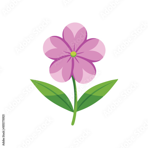 Phlox flower isolated flat vector illustration on white background 