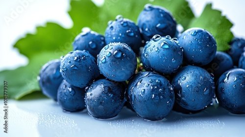 Wallpaper Mural Isolated Fresh Blue Grapes on White Background Torontodigital.ca