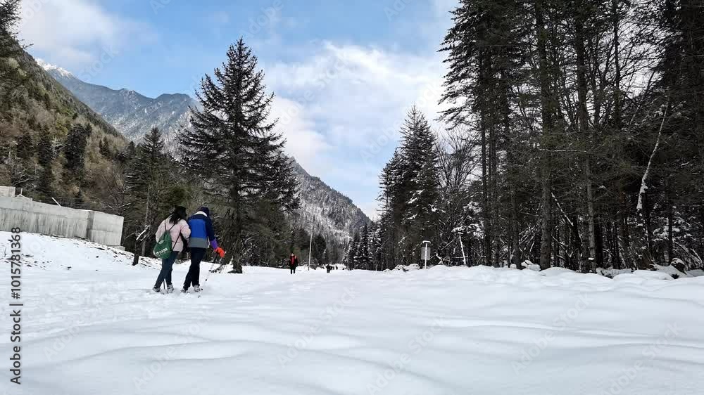 Xueshan Forest, Lixian County, Aba Prefecture, Sichuan Province Xueshan Forest, Lixian County, Aba Prefecture, Sichuan Province