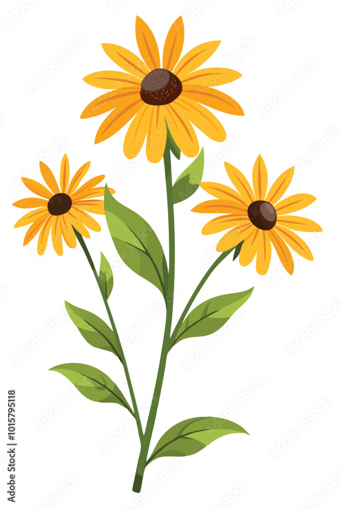 Rudbeckia Branch with Beautiful Yellow Flowers on White Background Vector Art