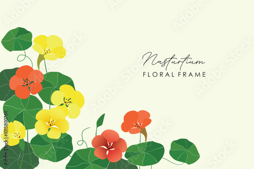 Nasturtium flowers and leaves frame background. Vector illustration of a nasturtium flowers in frame with an arranged floral seamless pattern.