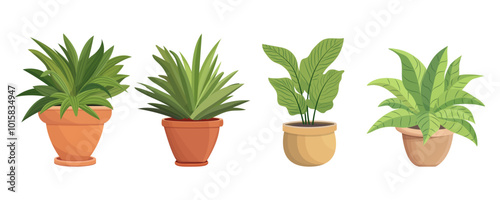 House plants in pots. Element for design house, room or office. Isolated element on white background.