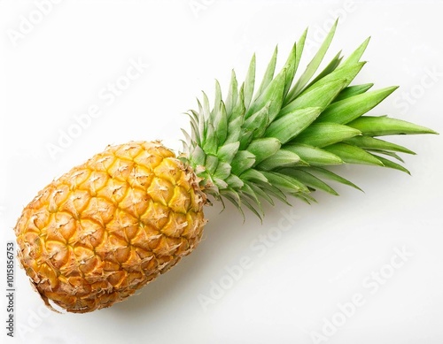 Ripe pineapple fruit. Ripe pineapple on white background