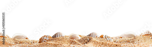 Seaside beach sand with copy space, cut out, isolated on transparent background. 