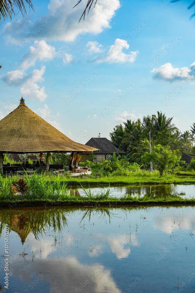 Balinese house in the rice fields
Balinese house in the rice fields