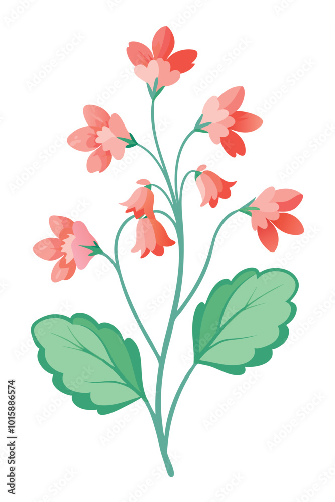 Coral Bells Plant with Beautiful Flowers Vector Artwork on a Clean White Background Coral Bells Plant with Beautiful Flowers Vector Artwork on a Clean White Background