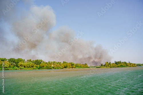 landscape fire on the river bank. careless handling of fire. danger of fires due to squally winds.