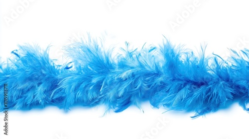 blue feather boa isolated on white background