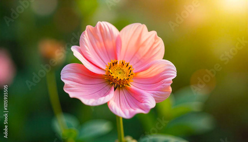 flower plant flora illustration fake, photo art