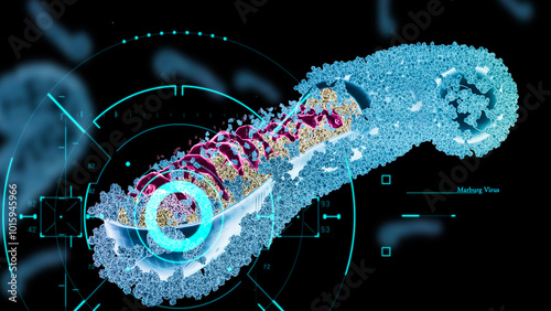 Marburg viruses hologram 3D illustration. RNA viruses that cause Marburg hemorrhagic fever. Marburg virus belongs to the Filoviridae family, the same as Ebola virus 3d rendering photo