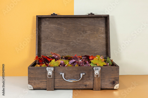 nostalgia wooden suitcase in autumn concept