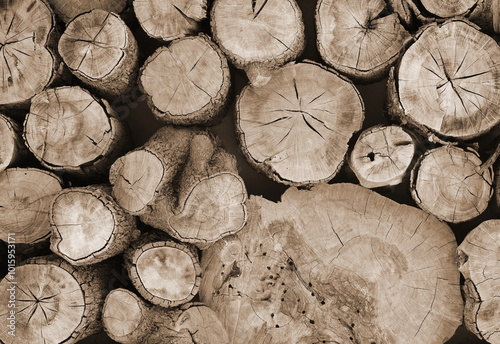 Wood Logs Texture Top View Sepia Tone Rustic Photography