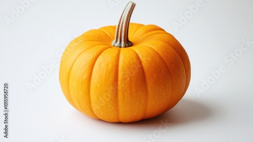 Orange pumpkin on white background photo