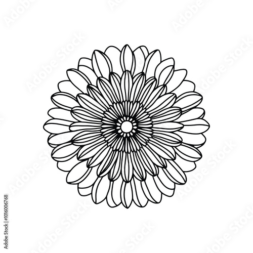 Elegant Chrysanthemum Mandala Illustration Ideal for Stress Relief and Therapeutic Coloring