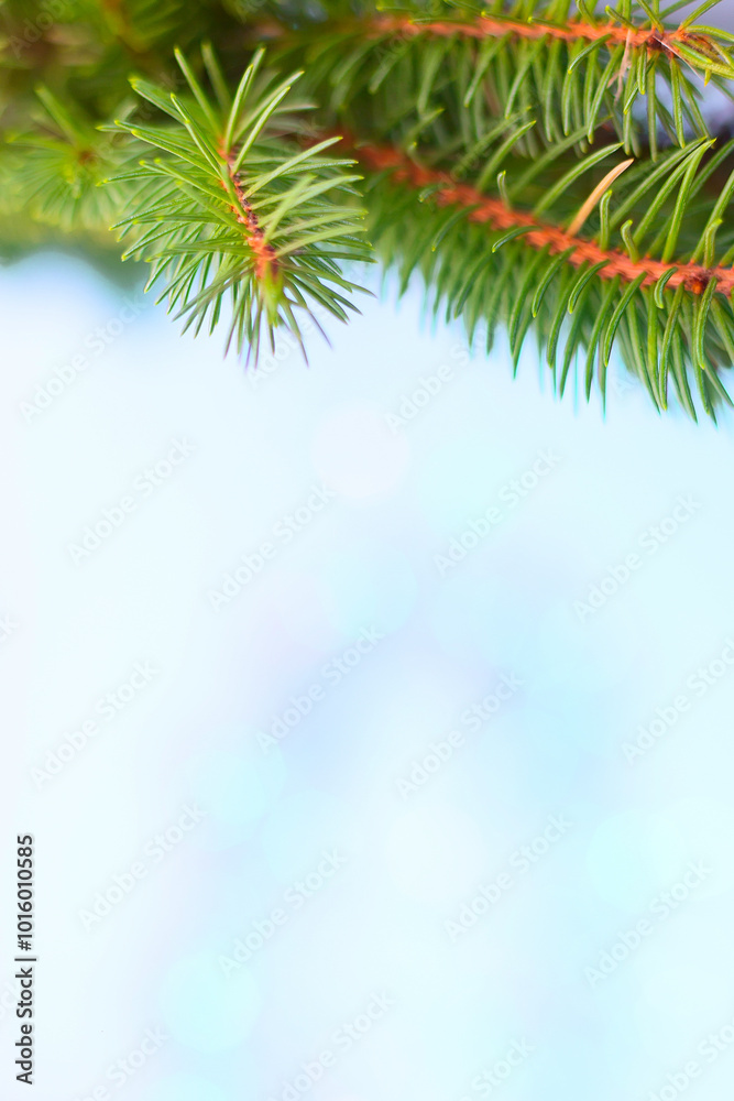 Christmas tree branch postcard frame, blue and turquoise bokeh texture background copy space Christmas tree branch postcard frame, blue and turquoise bokeh texture background copy space