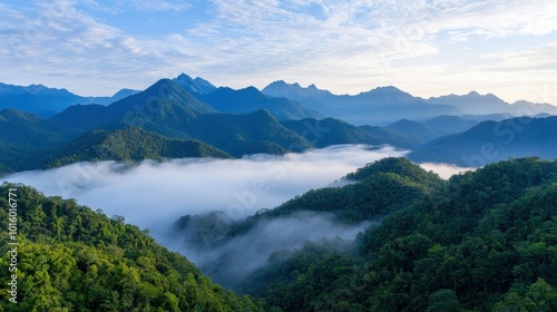 Misty mountain landscape with lush green forests