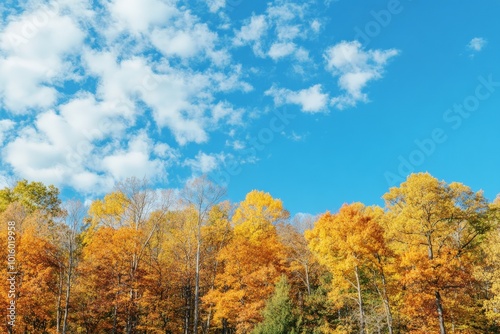 A clear blue sky contrasts sharply with the vivid colors of autumn treetops below, creating a striking image of seasonal transition and natural elegance and beauty.