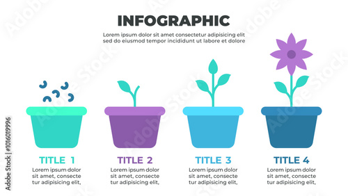 A colorful infographic illustrating the growth process of a plant