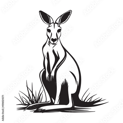 Kangaroo Silhouette and Illustrations, Kangaroo in cartoon, doodle style, Kangaroo Vector Line art Illustration