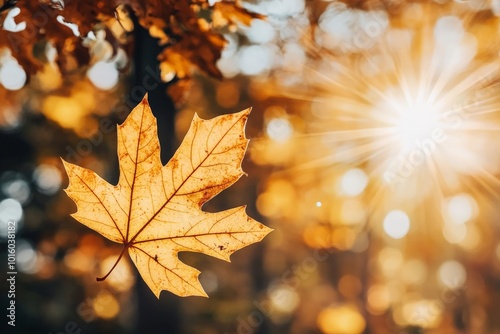 A shining maple leaf stands against a backdrop of dazzling autumn colors illuminated by a sunburst, symbolizing warmth and joy in nature's cycle of renewal. photo