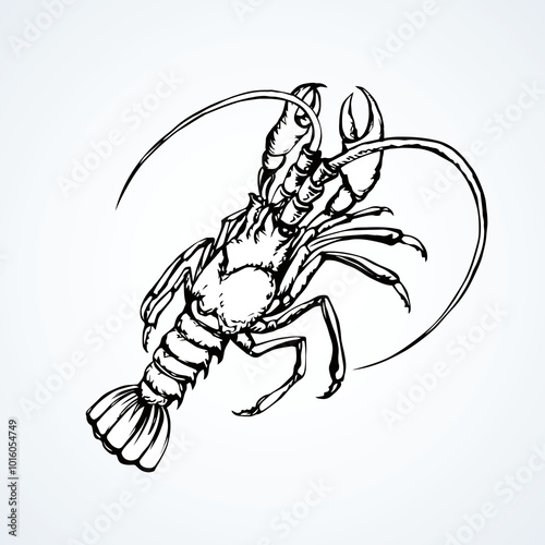 Big old grey anthropod panulirus mudbug set isolated on white background. Freehand bright color hand drawn picture logo sketchy in art doodle retro style. Closeup view with space for text