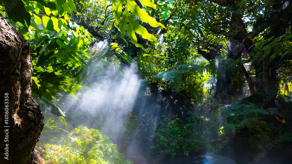 Fototapeta premium The Tropical jungle with river and sun beam and foggy in the garden.