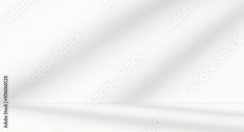 Empty white room studio with leaves shadow overlay effect for product presentation display. Cosmetic beauty fashion showroom. Morning sunlight through the window. Minimal Mock up interior background.	