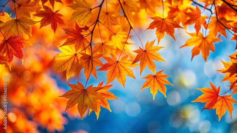 Vibrant orange maple foliage dances under a clear blue sky, offering a stunning seasonal scenery that perfectly encapsulates the beauty of autumn’s Vibrant orange maple foliage dances under a clear blue sky, offering a stunning seasonal scenery that perfectly encapsulates the beauty of autumn’s