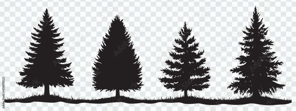 Fototapeta premium Black Pine Tree Silhouettes Vector on White Background