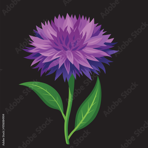 How To create bachelor button flowers Vector 3D Image