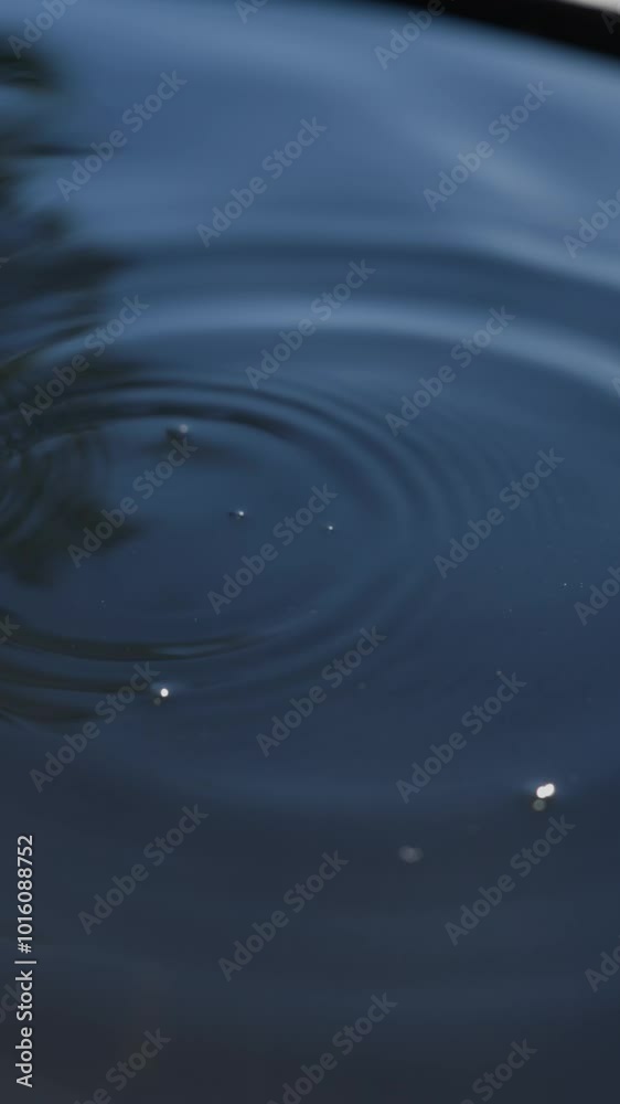 water droplet impact with circle waves on water surface slow motion water droplet impact with circle waves on water surface slow motion
