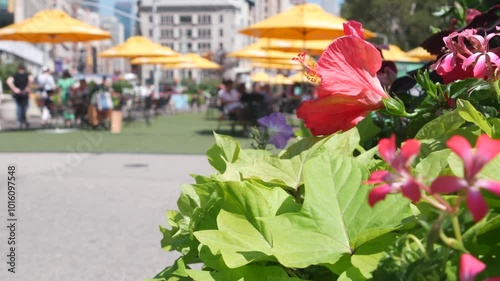 New York City, United States, Manhattan Midtown Broadway, 23 street, 5 avenue crossroad. Worth Square near Madison Park, Flatiron Building, USA. People on chairs, tables and umbrellas. Summer flowers.