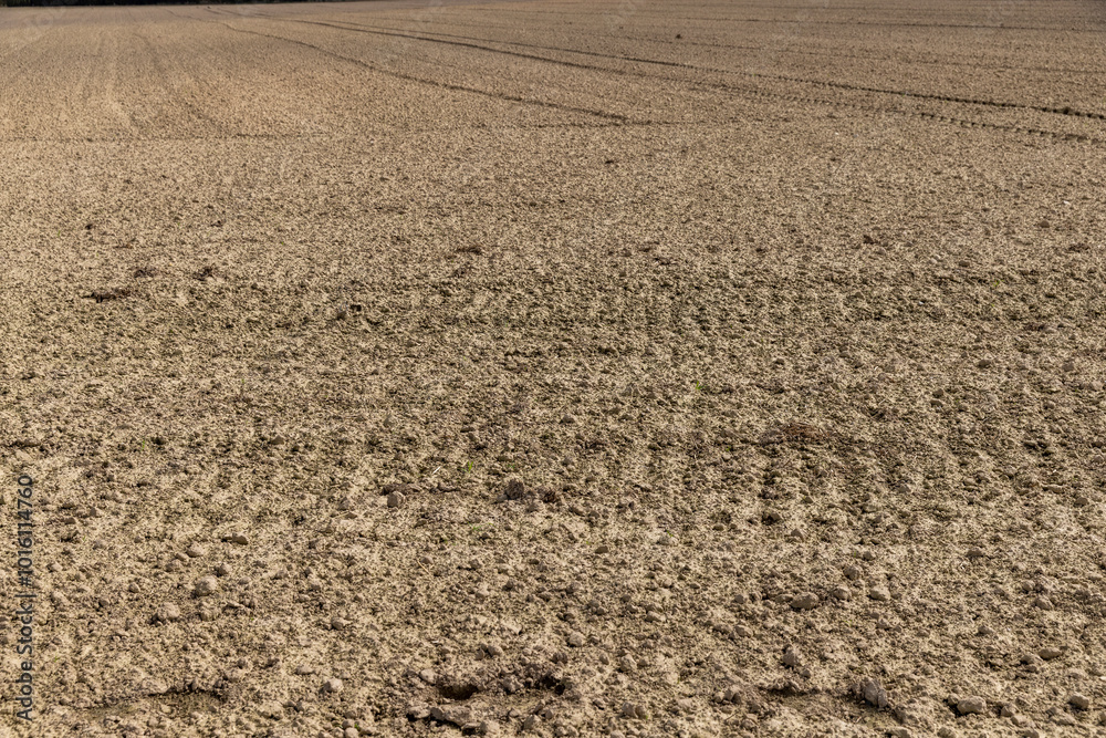 poor infertile soil in the field in the spring after plowing poor infertile soil in the field in the spring after plowing