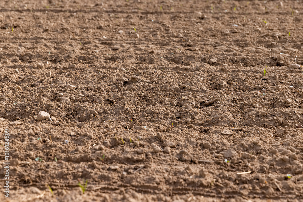 plowed fertilized fertile soil for obtaining a new crop plowed fertilized fertile soil for obtaining a new crop