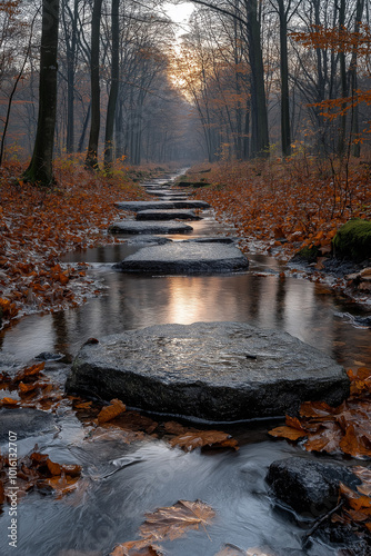 forest river in autumn