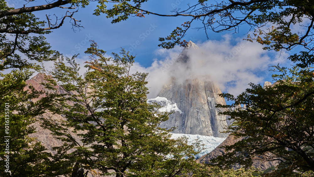Obraz premium Glaciar Piedras Blancas, located in Los Glaciares National Park, Patagonia, Argentina with its jagged peaks, glaciers, and lush green forests, creating a striking contrast under a clear blue sky.