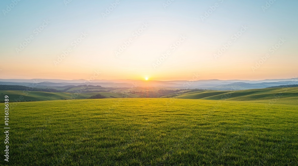 Obraz premium A serene sunset over rolling green hills, with a golden glow illuminating the landscape.