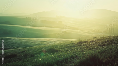 Rolling green hills bathed in soft morning light create a dreamy, serene landscape, inviting peaceful reflection and natural wonder.