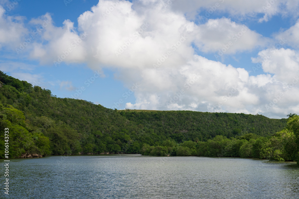 Nice view of the river Chavon and forest around ,travel in Dominican Republic. Nice view of the river Chavon and forest around ,travel in Dominican Republic.