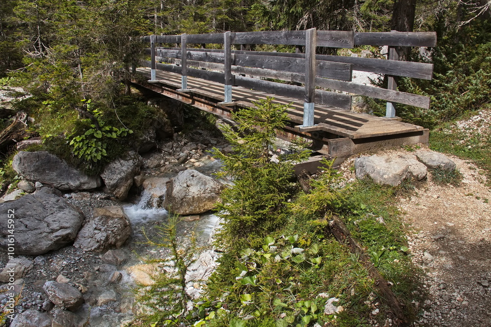 Wooden footbridge over the creek Kotbach in Gaistal at Leutasch, Tyrol, Austria, Europe
Wooden footbridge over the creek Kotbach in Gaistal at Leutasch, Tyrol, Austria, Europe