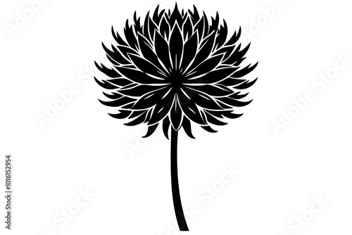 allium  silhouette  vector icon white background