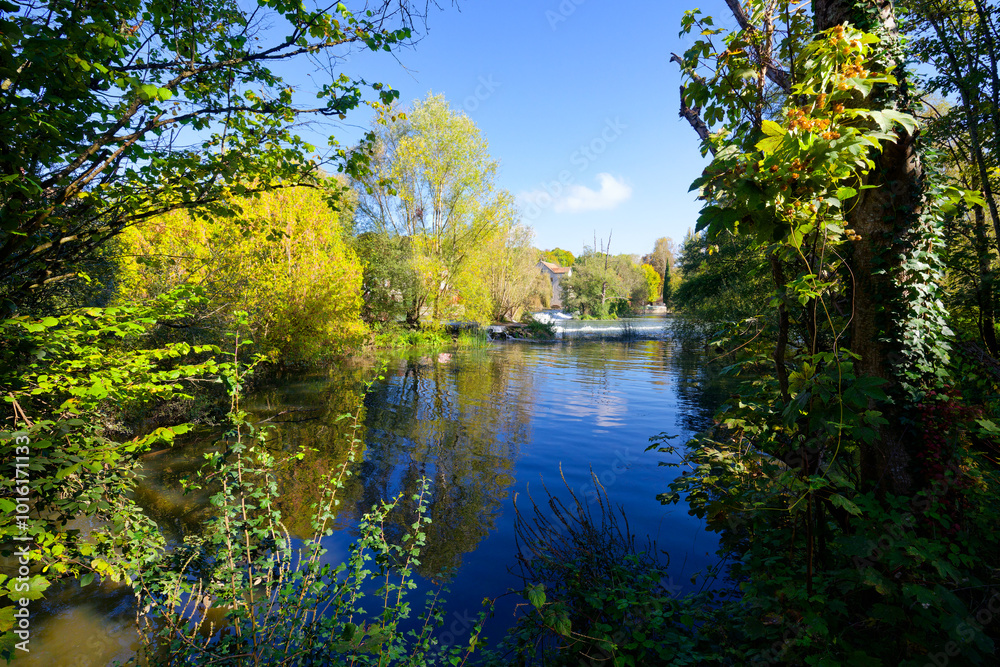 Fototapeta premium Loing river bank in Montigny-sur-Loing village