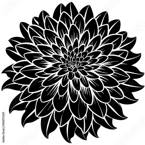 Chrysanthemum Flower Silhouette Vector Illustration Nature Design