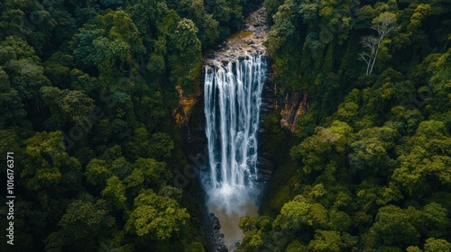 Waterfall in Lush Green Forest