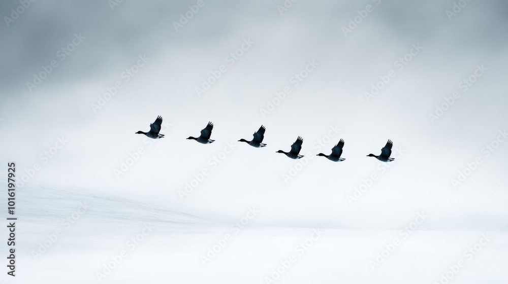 Flock of geese flying in V-formation over a snowy field, their dark bodies outlined against a pale winter sky, low clouds heavy with snow Flock of geese flying in V-formation over a snowy field, their dark bodies outlined against a pale winter sky, low clouds heavy with snow