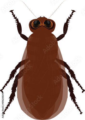 Cockroach silhouette vector illustration design