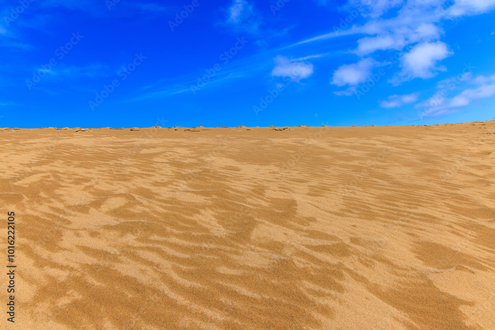 Naklejka premium 鳥取砂丘の風紋と美しい青い空