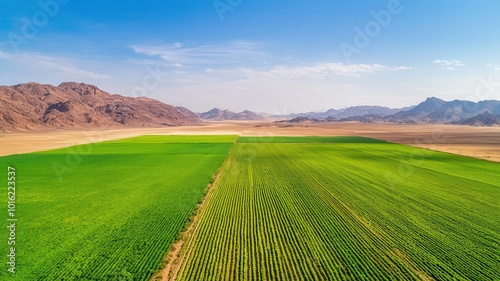 Aerial view of vibrant green farmland surrounded by mountains and desert, showcasing the beauty of agricultural landscapes.