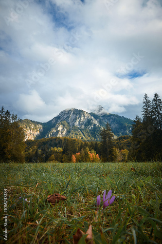 a walk in the mountains, a trip to the mountains, a hike in the mountains